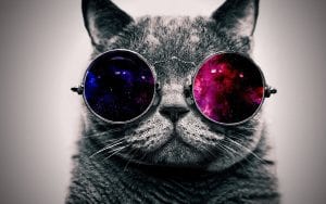 cat_face_glasses_thick_65455_3840x2400 We Are Jooka