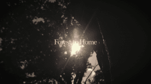 Forest to Home video thumbnail We Are Jooka